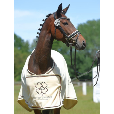 351194981_685853200020926_702532687446101511_n