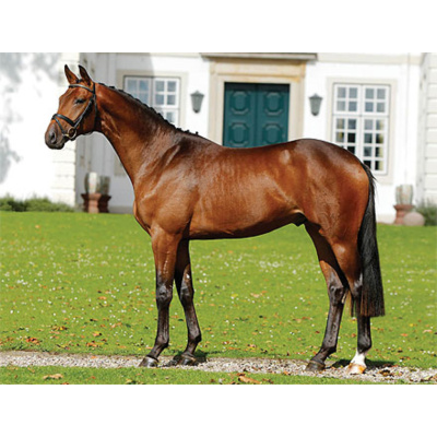 beweg_herbstkoenig_14-3l