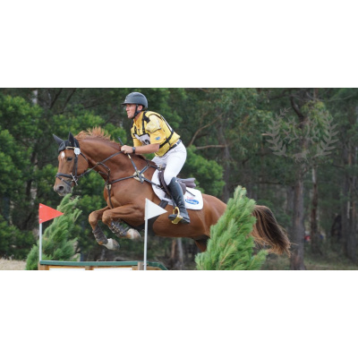 cropped-freddy-logo11