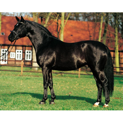 galerie_1_hohenstein_15-3l