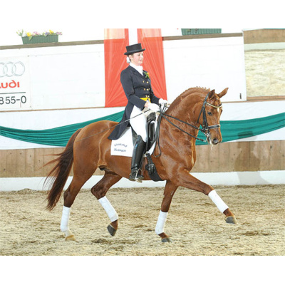 galerie_1_le_rouge_17-2l