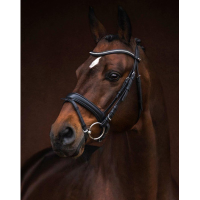 imperio1_greil_geschn