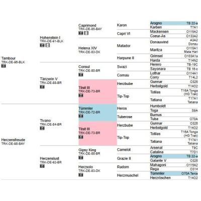 pedigree_herzensdieb