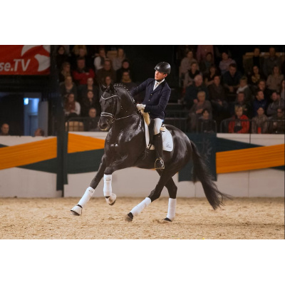 schwarzgold_bewegung